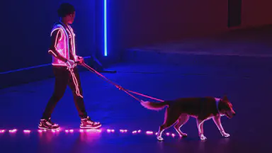 散歩と投薬を両立？犬専用「薬入りスニーカー」発売 - Style 3