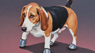 散歩と投薬を両立？犬専用「薬入りスニーカー」発売 - Style 9