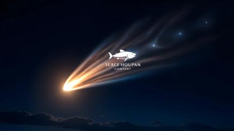 The Mystery of the Universe, Now Monetized. New Comet "Seafood" Generates Ad Revenue with Every Observation