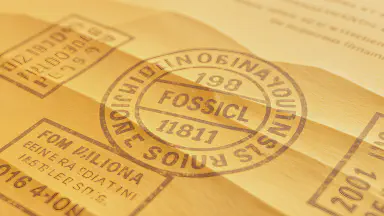 "Fossilized Application Form" Discovered in City Hall - Department Responds: "Still Under Review" - Style 5