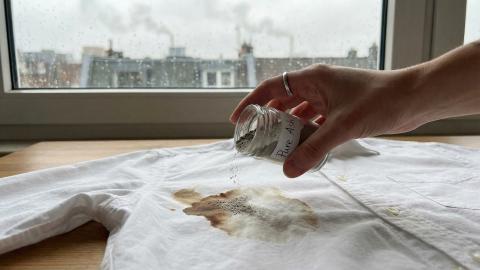 「鳩の灰はよく落ちる」政府、自然発火動物から作る”奇跡のシミ抜き”を発売