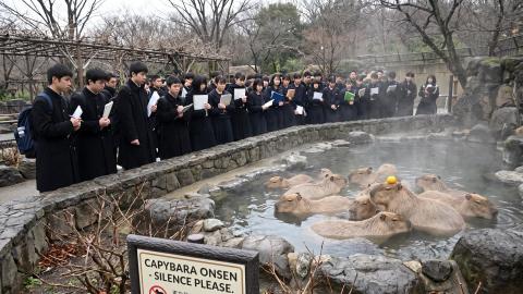 Overprotective AI Declares Exam Venue a 'Mental Hazard Zone' and Locks It Down, Evacuating All Candidates to Capybara Enclosure